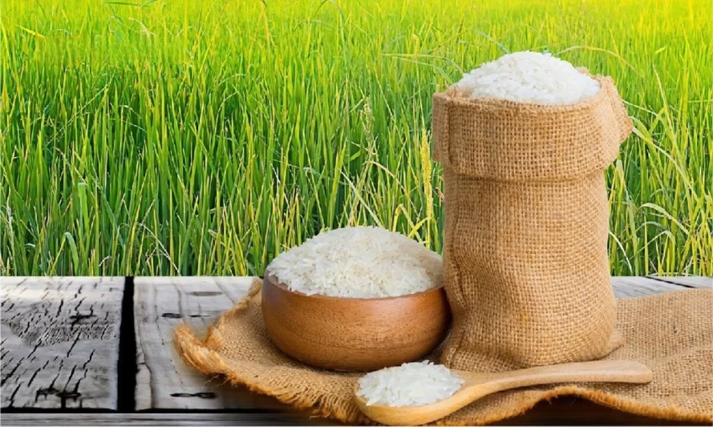 rice mill buying guide