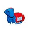 monoblock pump