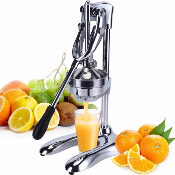 SS juicer 1