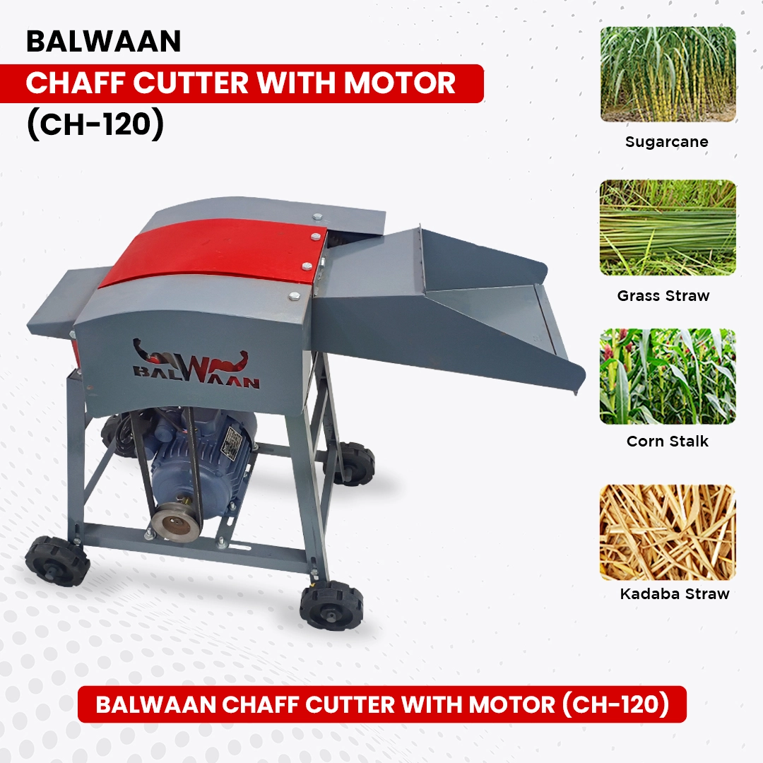 BALWAAN CHAFF CUTTER CH-120 (WITH MOTOR)