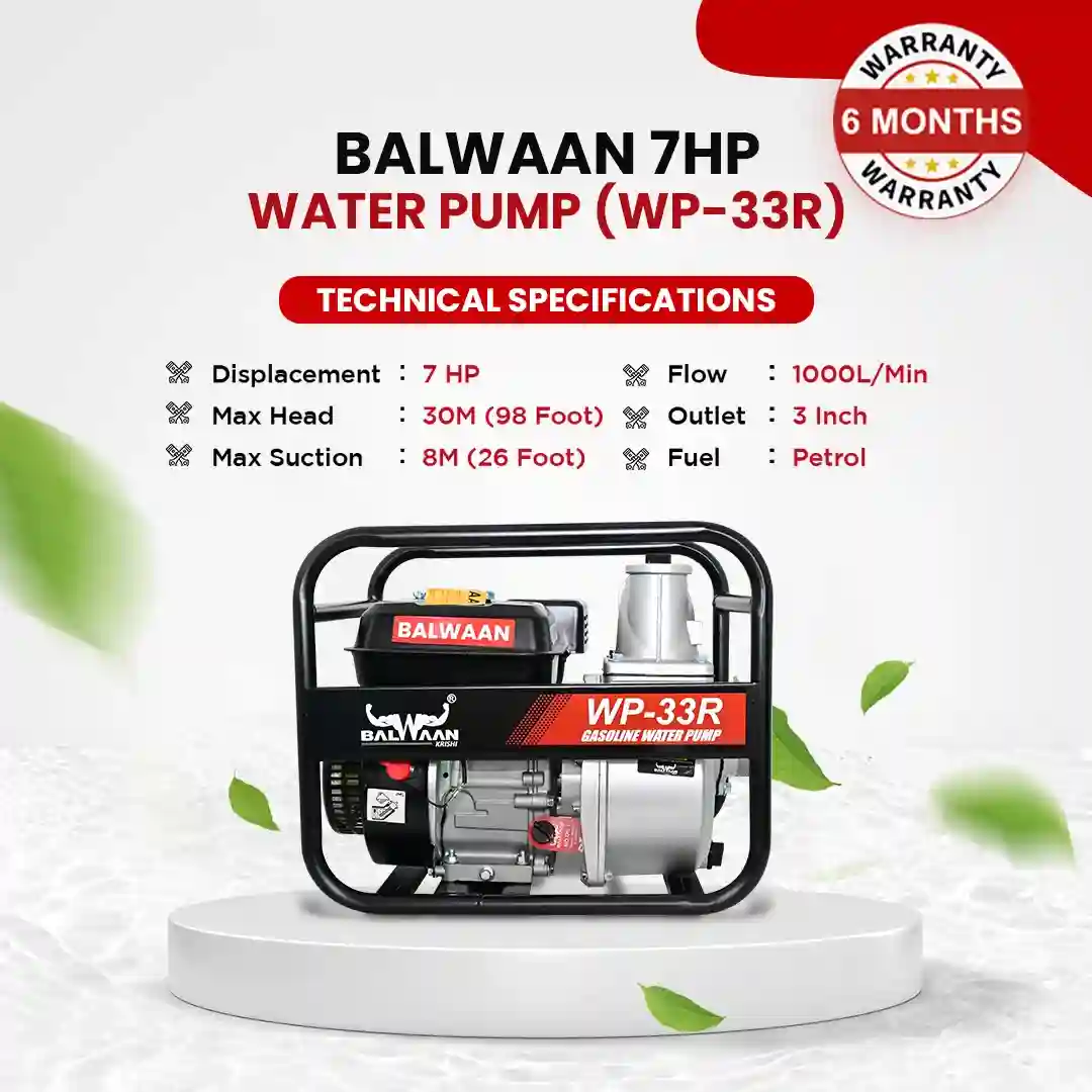 balwaan-WP-33R-water-pump-2