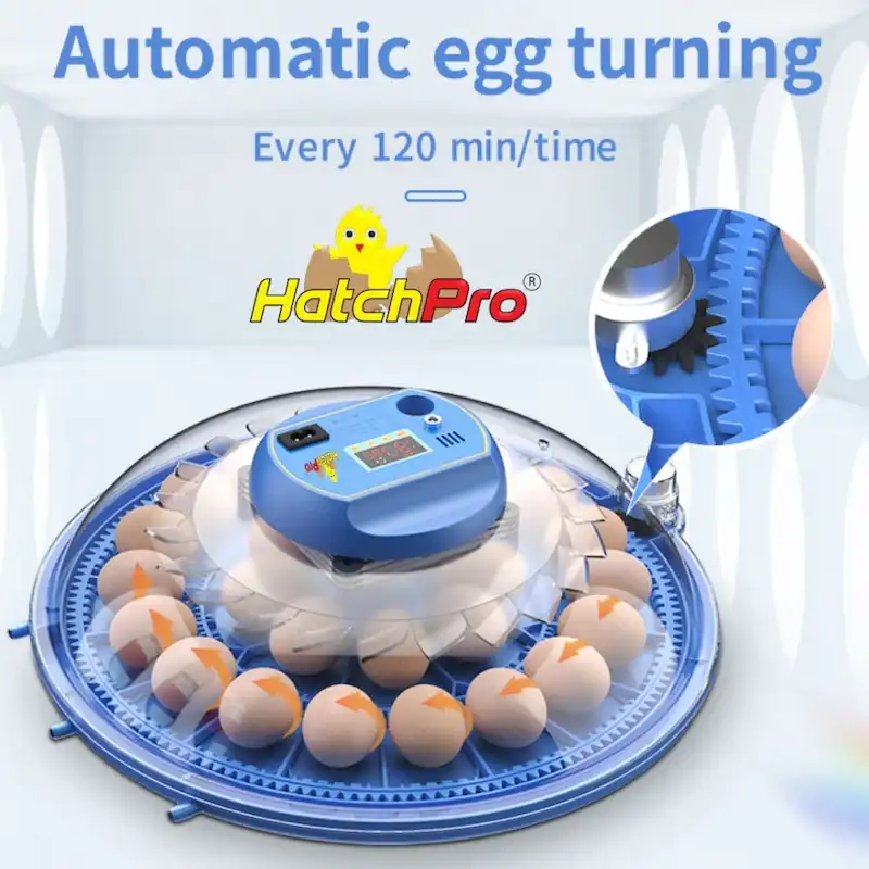 hatchpro 8 egg incubator