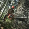 husqvarna-390xp-chainsaw-7