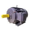 induction-motor-4