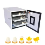 210-Eggs-incubator