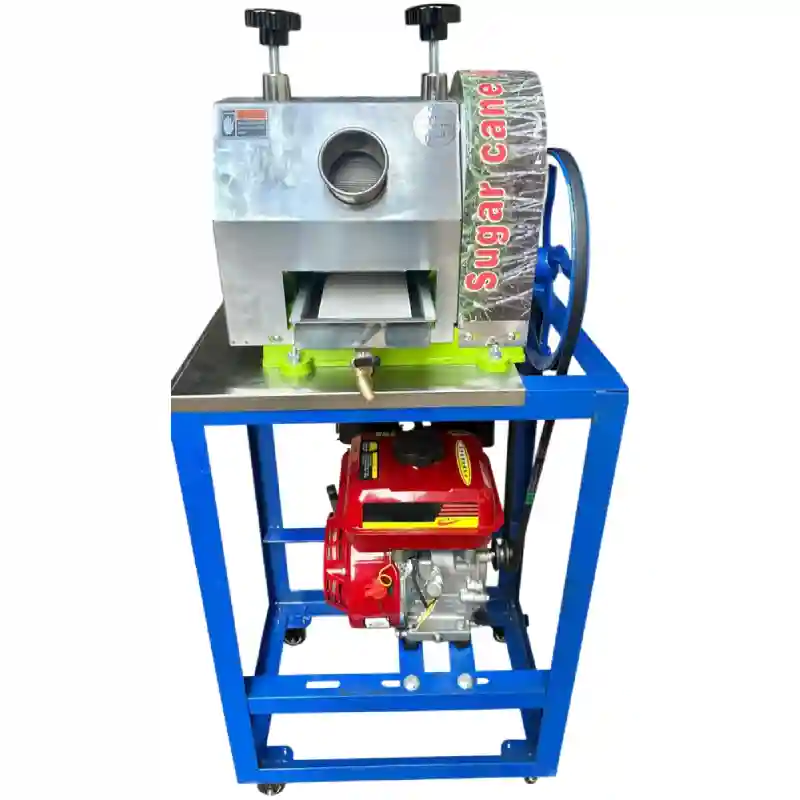 Sugarcane-Juicer-with-Stand-5