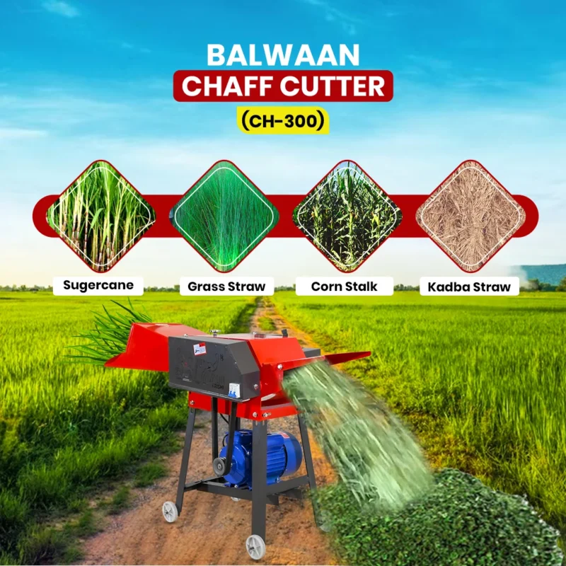 balwaan-ch-300-chaff-cutter-2